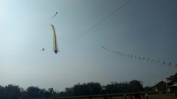 Kreatif, Layangan Jenis 2 Dimensi dan Trend Hiasi Langit Ponorogo