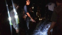 Apes, 5 Kambing Mudjiman Mati Terpanggang di Dalam Kandang