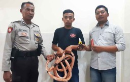 Satpam di Mojokerto ini Curi Kabel di Pabrik Tempatnya Bekerja
