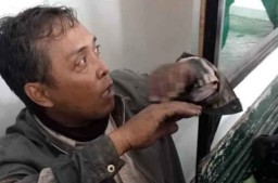 Pura-pura Salat, Pria ini Curi Kotak Amal Musala