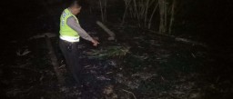 Bakar Sampah, Mbah Saeran Tewas Keracunan Asap