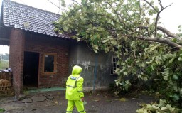 Diterjang Angin Kencang, Ratusan Rumah di Sidoarjo Rusak