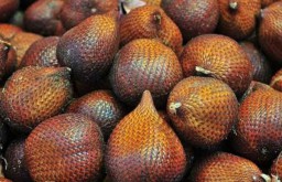 Mengenal Jenis Buah Salak Unggulan yang Tersedia di PIOS