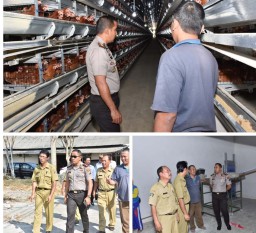 Cek Stabilitas Harga Telur, Polisi dan Dinas Peternakan Gelar Sidak