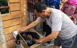 Digendam Kurir Paket, Laptop Amblas Ditukar Kotak Berisi Kelapa