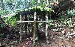 Ini Jalur Kuno Naik ke Gunung Lawu, Mau Coba?