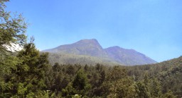 Pendaki Bunuh Diri di Gunung Lawu, Pelaku Ritual?