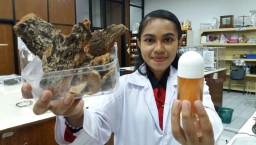Wow, Mahasiswa Surabaya Ubah Kulit Kayu Pohon Kesambi Jadi Deodoran