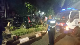 Mobil ini Tiba-tiba Nyungsep dan Terbalik di Atas Taman