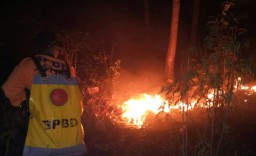 Hutan Kendit Situbondo Terbakar