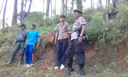 Ditangkap Polisi, Pelaku Illegal Logging Berdalih untuk Buat Kandang