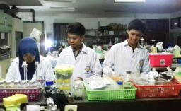 Mahasiswa ITS Temukan Obat Kanker Payudara Berbahan Dasar Bawang Merah