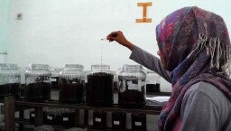 Guru Besar ITS Ciptakan Metode Bioteknologi Pembersihan Tanah Tercemar