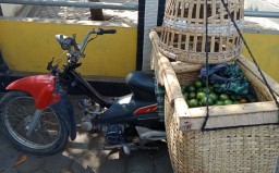 Maling Jeruk ini Tetap Tenang Meski Tepergok Mencuri