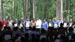 Presiden Jokowi: Jaga Persaudaraan, Jangan Pecah Gara-gara Pilkada