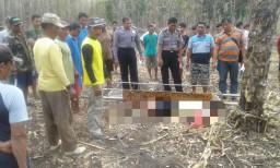 Diduga Terpeleset dari Pohon Jati, Kakek ini Ditemukan Tewas