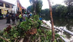 Bibir Sungai Kalimas di Jalan Karet Ambrol, Tiang Listrik Bertumbangan