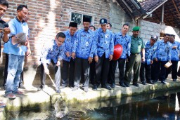 Permintaan Besar, Desa Sukomaju Dijadikan Kampung Gurami