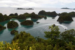 Kapal Pesiar Misterius Hebohkan Warga Raja Ampat