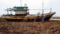Menabrak Karang, Kapal Nelayan Probolinggo Kandas di Perairan Madura