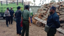 Timbun Kayu Ilegal, Gudang Milik Bos Paking Buah Digerebek