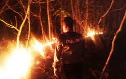 2 Hektar Lahan Pertanian Milik Warga  di Ponorogo Terbakar 