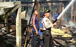 Kandang Peternakan di Blitar Terbakar, 800 Ayam Terpanggang