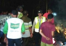 Niat Usir Nyamuk di Kandang Ternak, Dua Sapi Mati Terpanggang