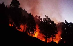 Angin Kencang, Area Kebakaran di Gunung Buthak Meluas