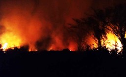 Kebakaran Ilalang di Mojokerto Bikin Warga Panik