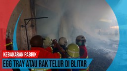 Video: Kebakaran Pabrik Rak Telur di Blitar