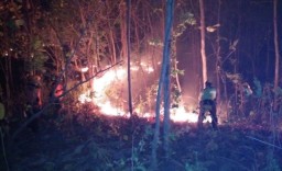 Hutan Rakyat di Ponorogo Terbakar, Sempat Mengancam Permukiman Warga
