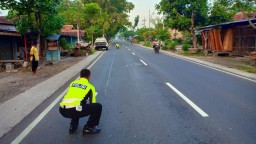 Jadi Korban Tabrak Lari, Seorang PNS di Ponorogo Tewas