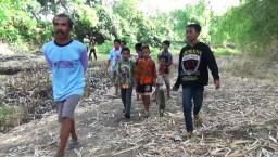 Meresahkan Warga, Satu Kera Liar di Probolinggo Ditembak