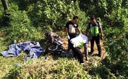 Pencari Rumput di Pasuruan Tewas Disambar Kereta Api