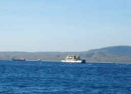 Diduga Bunuh Diri, Penumpang Kapal Melompat ke Selat Bali