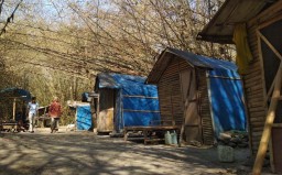 Mengunjungi Kampung Kacangan di Rimba Alas Purwo