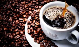 Pakar Kopi Dunia Uji Kualitas Kopi Indonesia