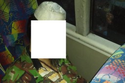 Warga Sidoarjo Tewas di Bus Jurusan Lumajang-Surabaya