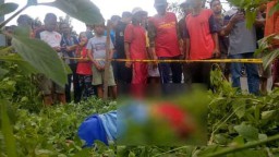  Wanita di Kediri Tewas Diduga Jadi Korban Tabrak Lari