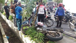 Serempetan Dengan Motor Sport, Yamaha Vixion Nyangkut di Pohon