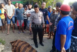 Oleng, Biker di Ngawi Tewas Setelah Menabrak Pagar Rumah