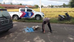 Tragis, Dosen IAIN di Ponorogo Tewas Terlindas Truk
