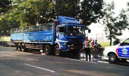 Gara-gara Pohon Tumbang, Dua Truk di Pasuruan Bertabrakan