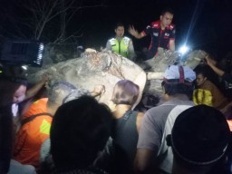 Mobil Tertimpa Pohon di Situbondo, 4 Penumpang Tewas