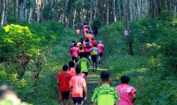 Yuk Ikuti Keseruan Berlari di Banyuwangi Ijen Green Run