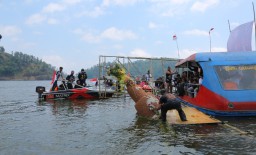Tutup Grebeg Suro 2018, Warga Ponorogo Tenggelamkan Tumpeng 'Raksasa'
