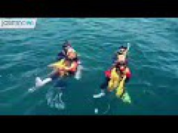 Video: Banyuwangi Underwater Festival, Kampanyekan Konservasi Laut