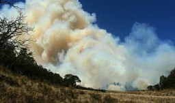 Lereng Gunung Lawu Masih Terbakar, Lokasi Titik Api Sulit Dijangkau