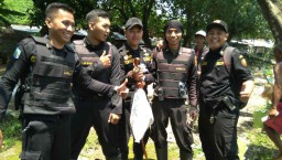 Berita Foto: Linmas Evakuasi Monyet 'Liar' dari Kuburan